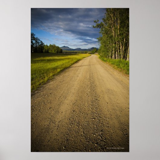 Dirt Road in Eagle, Alaska Poster (Vorne)