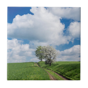 Dirt Road und Apfelbäume Fliese