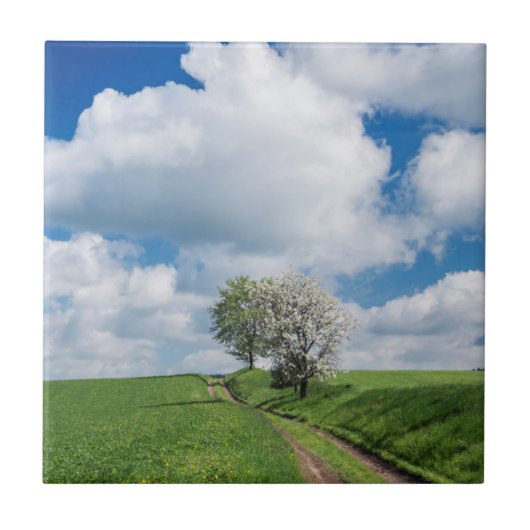 Dirt Road und Apfelbäume Fliese (Vorderseite)