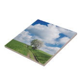 Dirt Road und Apfelbäume Fliese (Seite)