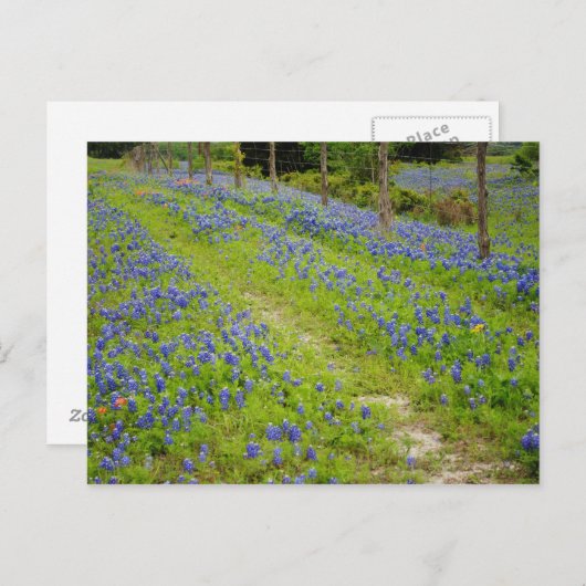 Dirt Roads Postkarte (Vorne/Hinten)