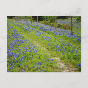 Dirt Roads Postkarte