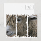 Dirty 3Tall Boxes Postkarte (Vorne/Hinten)