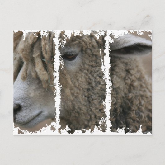 Dirty 3Tall Boxes Postkarte (Vorderseite)