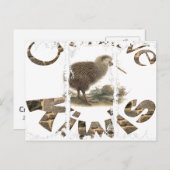 Dirty 3Tall Boxes Postkarte (Vorne/Hinten)