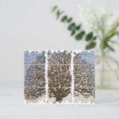 Dirty 3Tall Boxes Postkarte (Stehend Vorderseite)