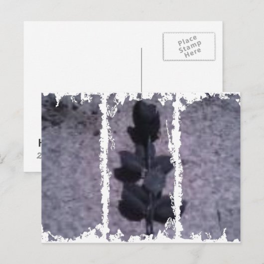 Dirty 3Tall Boxes Postkarte (Vorne/Hinten)