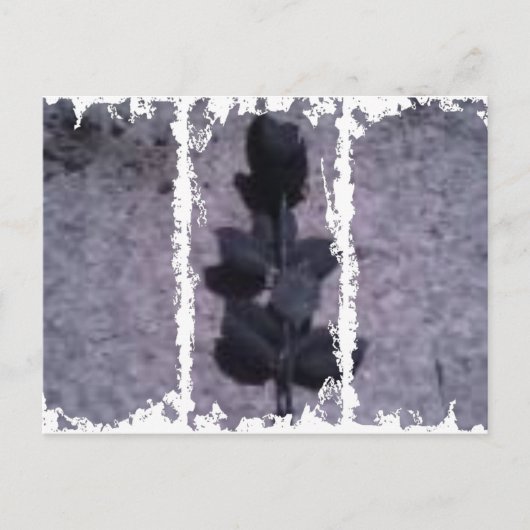 Dirty 3Tall Boxes Postkarte (Vorderseite)