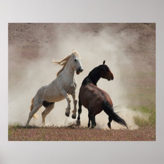 Dirty Business Poster (Vorne)