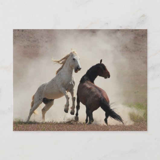 Dirty Business Postkarte (Vorderseite)