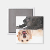 Dirty Dog Clean Dog Geschirrspülmaschine Magnet (Vorderseite/Rückseite)