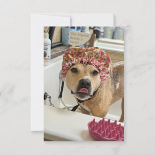 Dirty Dog Puppy Bath Time lustige Kostümnotecard Dankeskarte