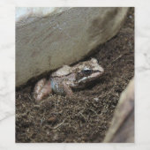 Dirty Frog Weinetikett (Einzelnes Label)