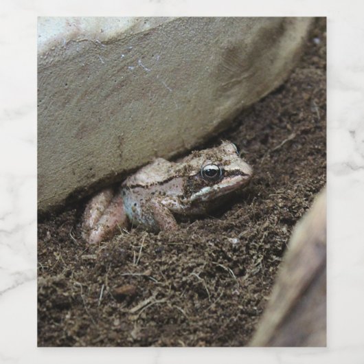 Dirty Frog Weinetikett (Einzelnes Label)