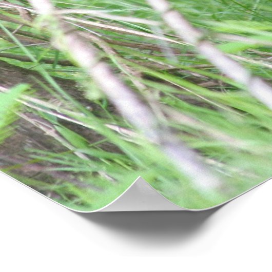 Dirty Nose Poster (Ecke)