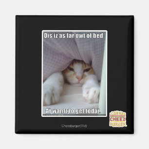 Dis iz bis zum Bett. Magnet