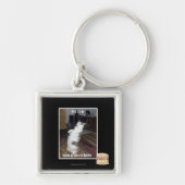 dis schlüsselanhänger (Vorne)