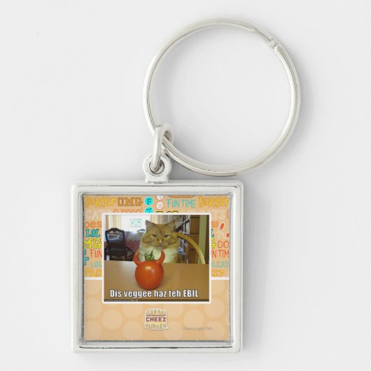 DIS veggee haz das EBIL Schlüsselanhänger (Vorne)