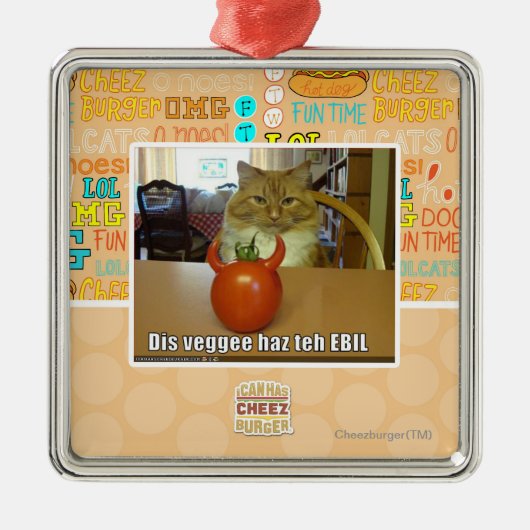 DIS veggee haz das EBIL Silbernes Ornament (Vorne)