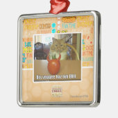 DIS veggee haz das EBIL Silbernes Ornament (Links)