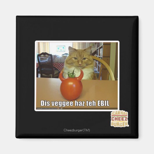 Dis veggee haz EBIL Magnet (Vorne)