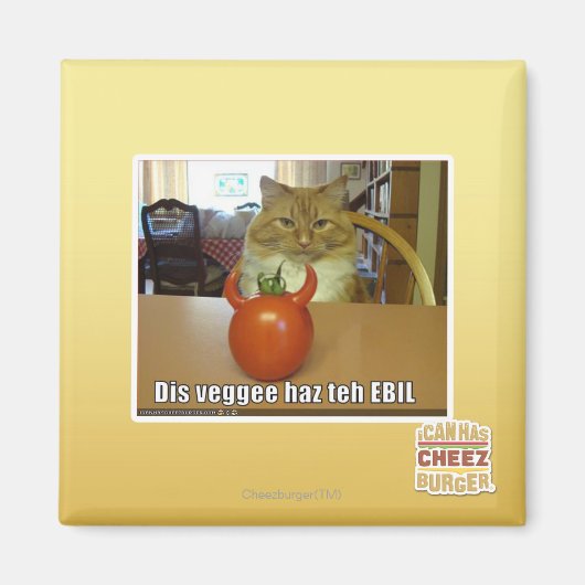 Dis veggee haz EBIL Magnet (Vorne)