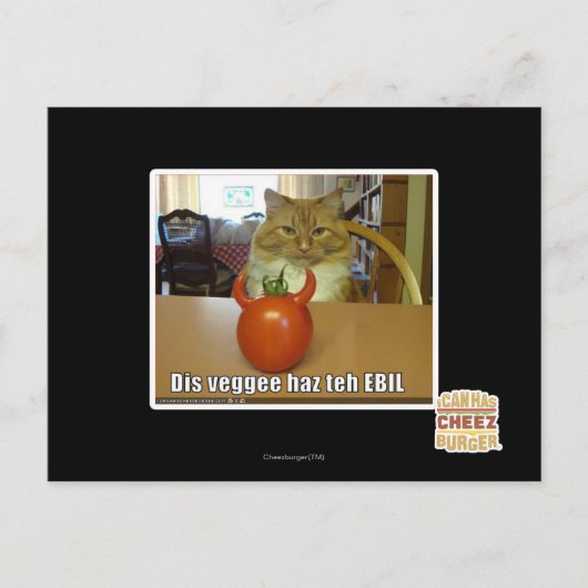 Dis veggee haz EBIL Postkarte (Vorderseite)