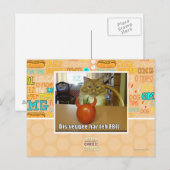 Dis veggee haz EBIL Postkarte (Vorne/Hinten)