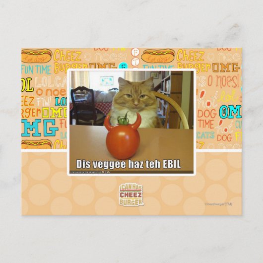 Dis veggee haz EBIL Postkarte (Vorderseite)