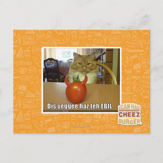 Dis veggee haz EBIL Postkarte (Vorderseite)
