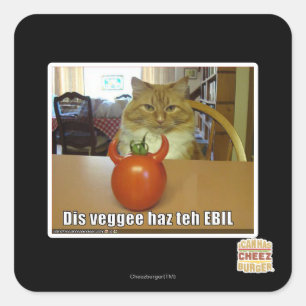 Dis veggee haz EBIL Quadratischer Aufkleber