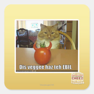 Dis veggee haz EBIL Quadratischer Aufkleber