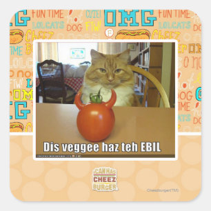 Dis veggee haz EBIL Quadratischer Aufkleber