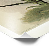 Disa Grandiflora Fotodruck (Ecke)