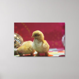 Disco Chicks Leinwanddruck