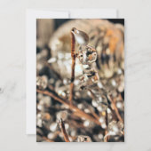 Disco Christmas Einladung (Vorderseite)