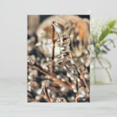 Disco Christmas Einladung (Stehend Vorderseite)