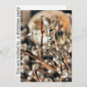 Disco Christmas Einladung (Vorne/Hinten)