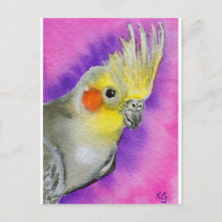 Disco Cockatiel Postkarte