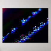 Disco Drops Poster (Vorne)