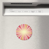 Disco Magnet (In Situ (Geschirrspüler))