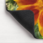 Disco Marigold Orange and Red Summer Blume Mousepad (Ecke)