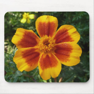 Disco Marigold Orange and Red Summer Blume Mousepad