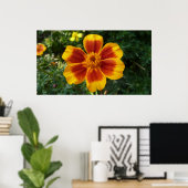 Disco Marigold Orange and Red Summer Blume Poster (Heimbüro)