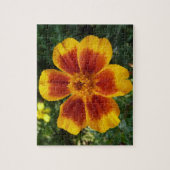 Disco Marigold Orange and Red Summer Blume Puzzle (Vertikal)