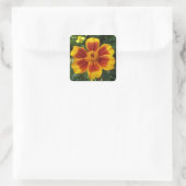 Disco Marigold Orange and Red Summer Blume Quadratischer Aufkleber (Tasche)