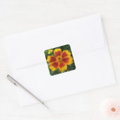 Disco Marigold Orange and Red Summer Blume Quadratischer Aufkleber (Umschlag)
