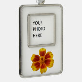 Disco Marigold Orange and Red Summer Blume Rahmen-Ornament Silber (Rechts)