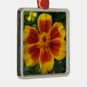 Disco Marigold Orange and Red Summer Blume Silbernes Ornament (Rechts)