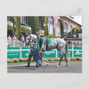 Disco Partner Postkarte